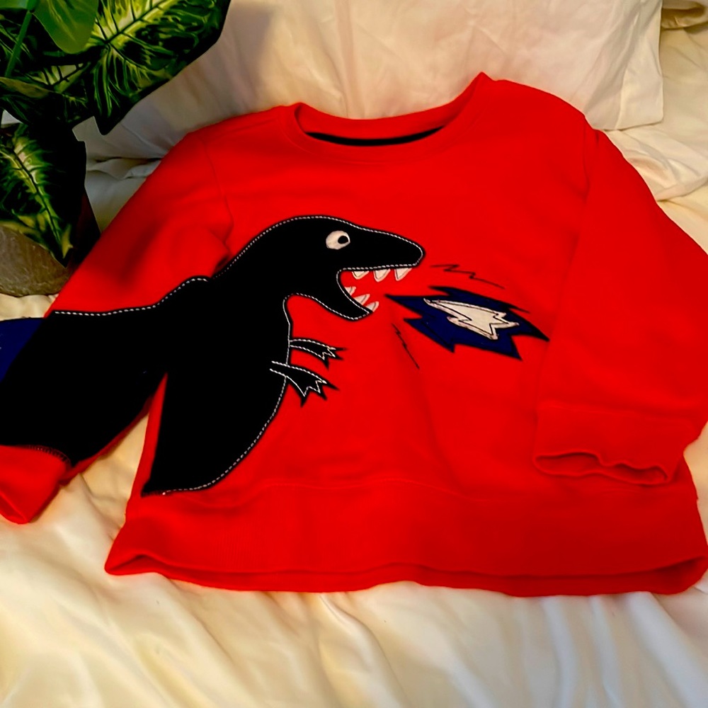 Kids 365kids sweater with dinosaur size 5